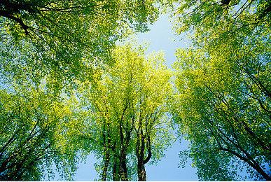 《寂静岭2：重制版》预告片重点介绍PS5手柄特性等